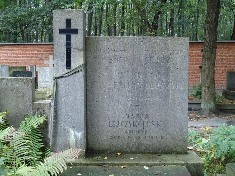 Zdjęcie grobu Helena Lejczyk (2)