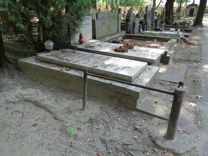 Zdjęcie grobu: Szczepan Mieczysław Kuczyński