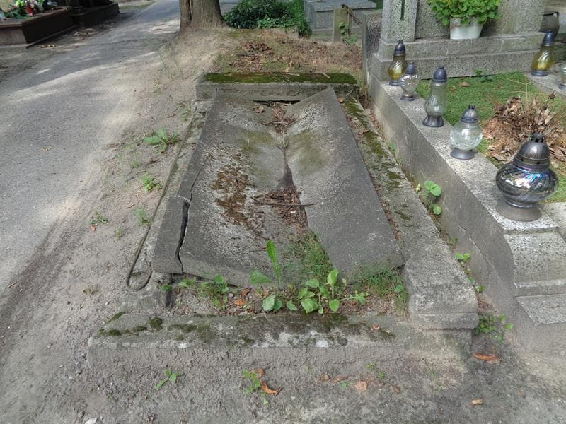 Zdjęcie grobu Maria Janiszewska (1)