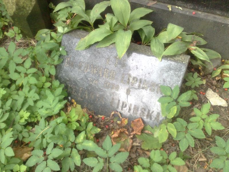 Zdjęcie grobu Edward Lipiński (1)