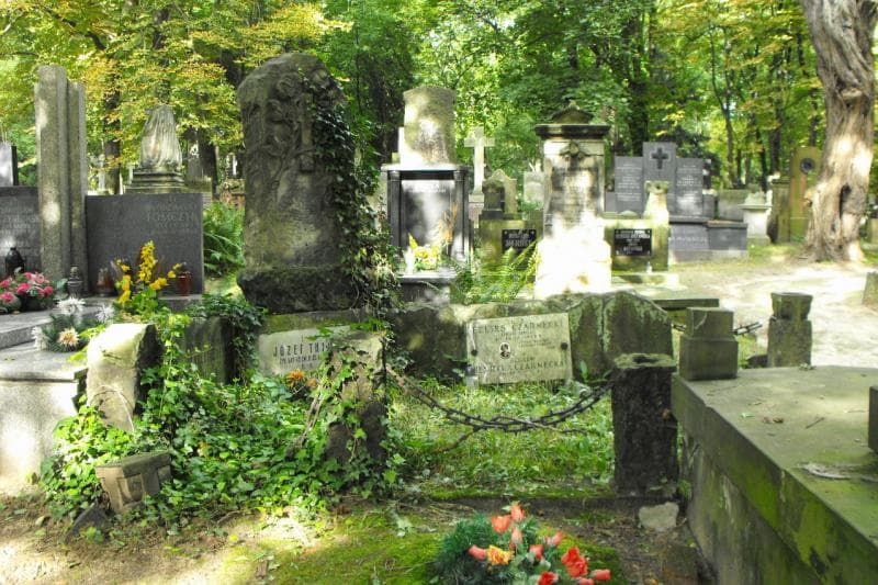 Zdjęcie grobu Feliks Czarnecki (2)
