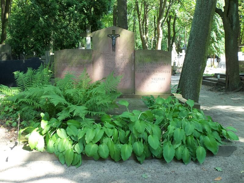 Zdjęcie grobu: Adam Bojarowski