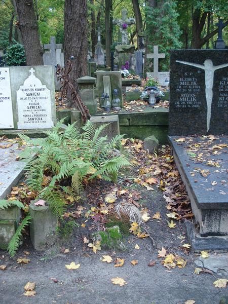 Zdjęcie grobu: Józef Chmielewski