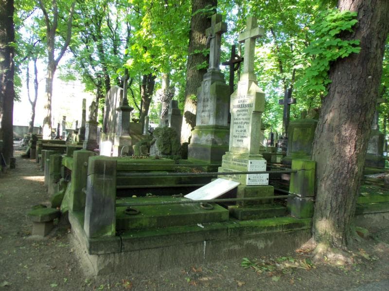Zdjęcie grobu Józef Dobrzański (1)