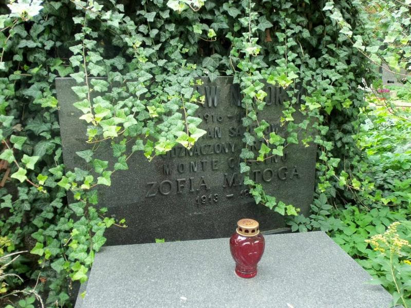 Zdjęcie grobu Zofia Matoga (2)