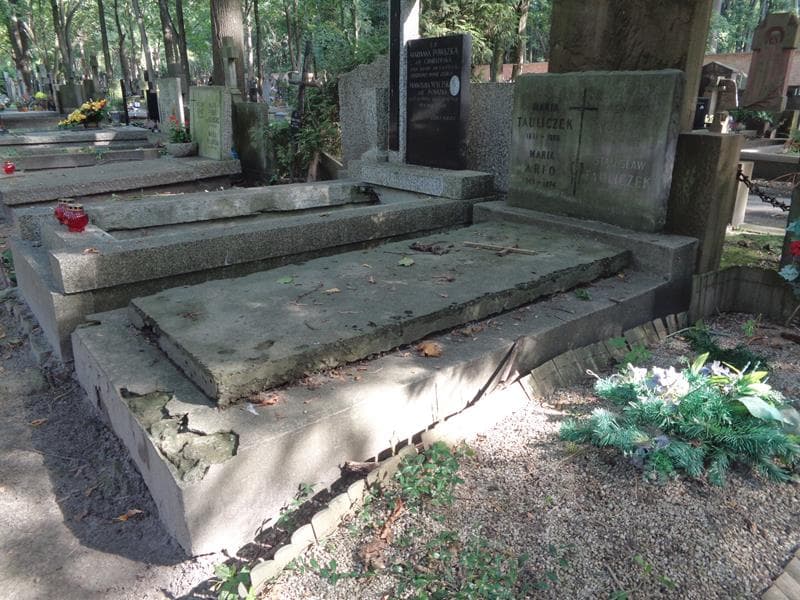 Zdjęcie grobu: Ludwika Tauliczek