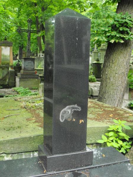 Zdjęcie grobu Mieczysław Dauksza (2)
