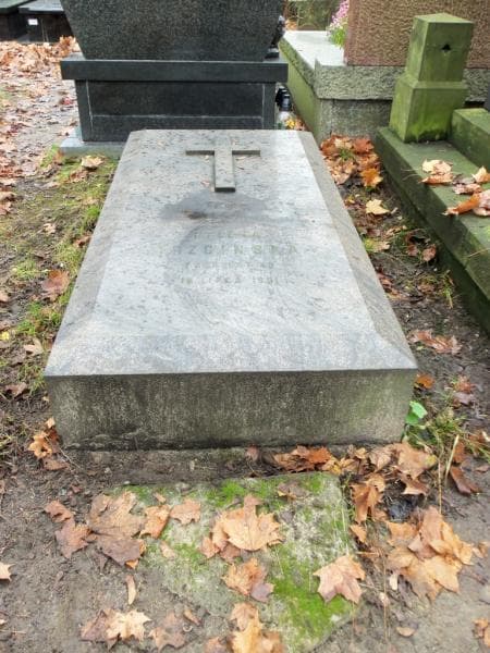 Zdjęcie grobu Helena Trzcińska (1)