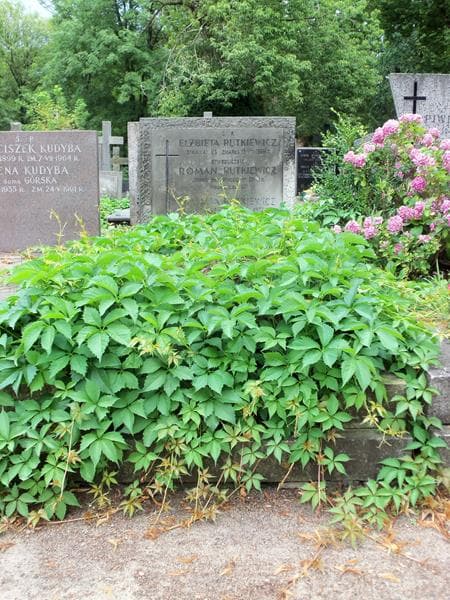 Zdjęcie grobu: Roman Rutkiewicz