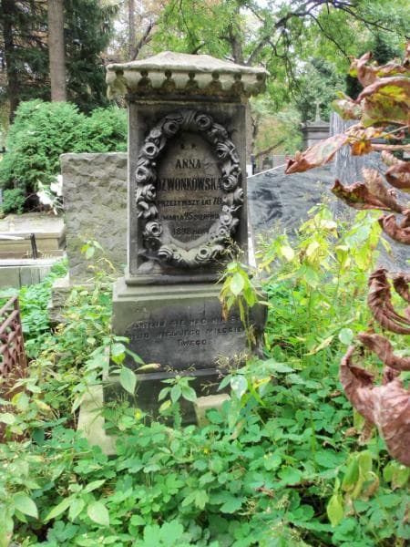 Zdjęcie grobu Anna Dzwonkowska (2)