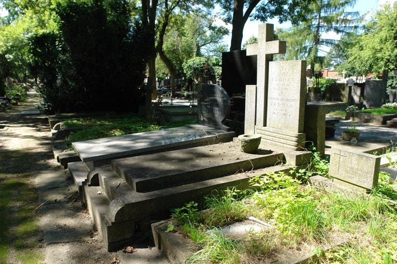 Zdjęcie grobu: Kwiryna Waciórska