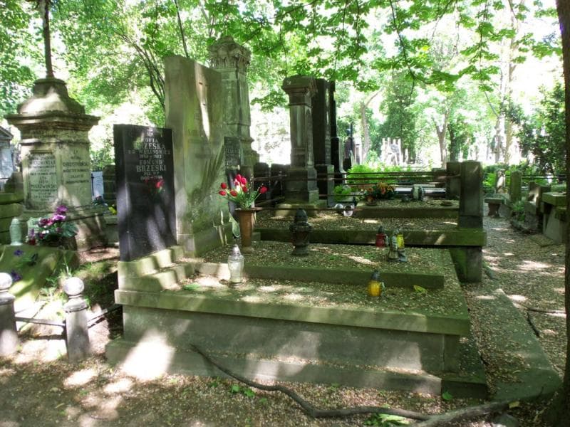 Zdjęcie grobu Zofia Brzeska (1)