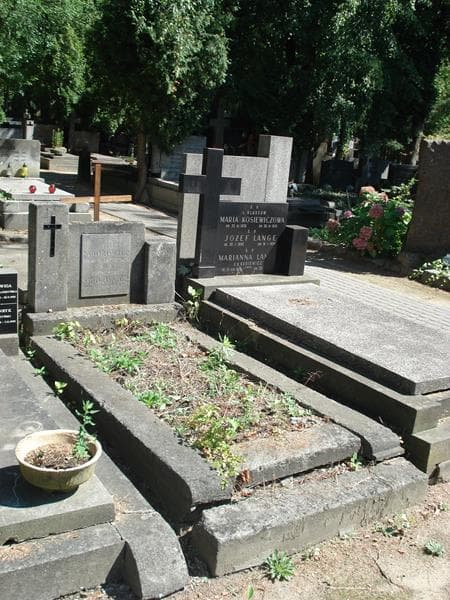 Zdjęcie grobu Józef Sidorowicz (1)