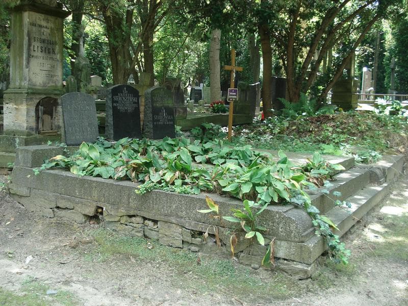 Zdjęcie grobu Leonia Lisicka (1)