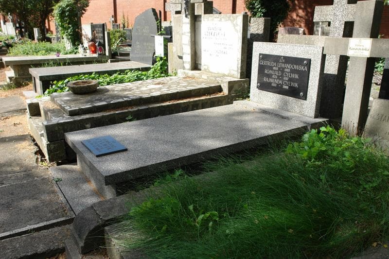 Zdjęcie grobu: Gertruda Lewandowska