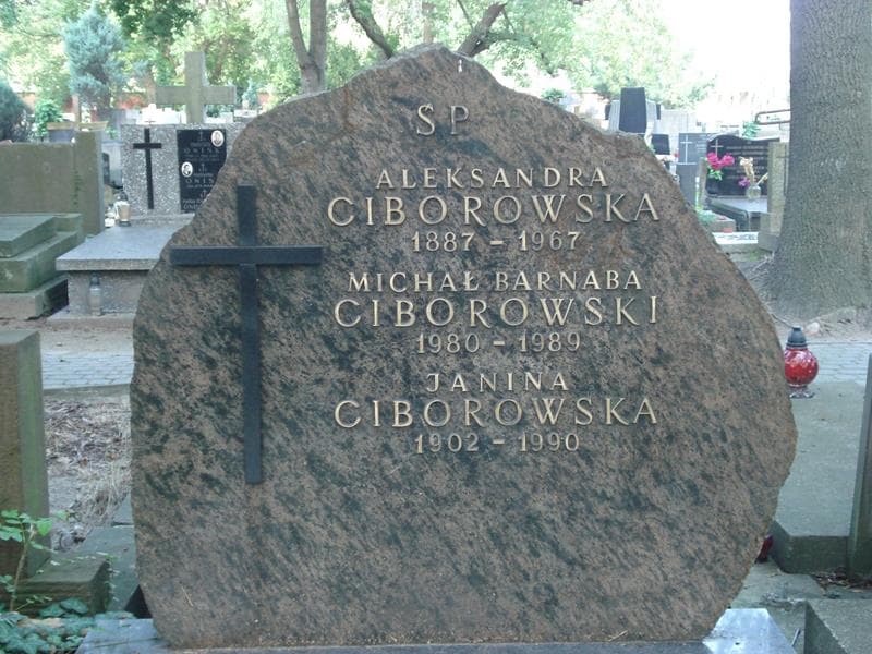Zdjęcie grobu Michał Barnaba Ciborowski (2)