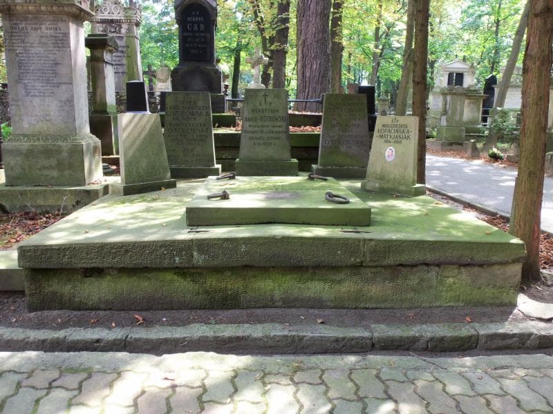 Zdjęcie grobu: Pawełeczek Ostrowski