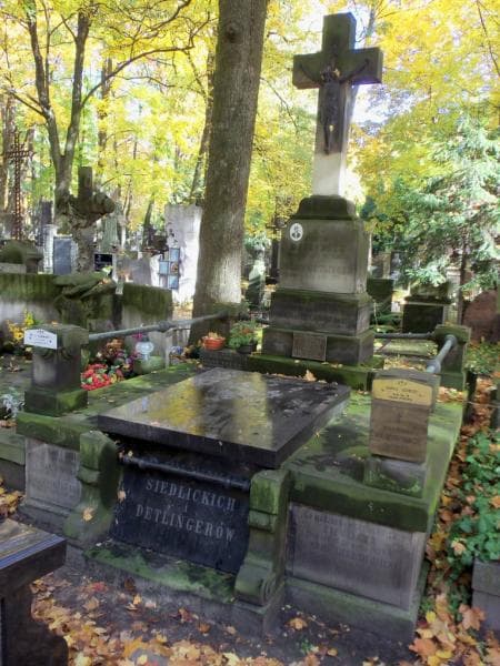 Zdjęcie grobu: Franuś Detlinger