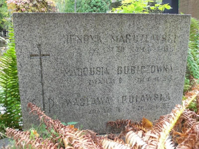 Zdjęcie grobu Henryk Marczewski (2)