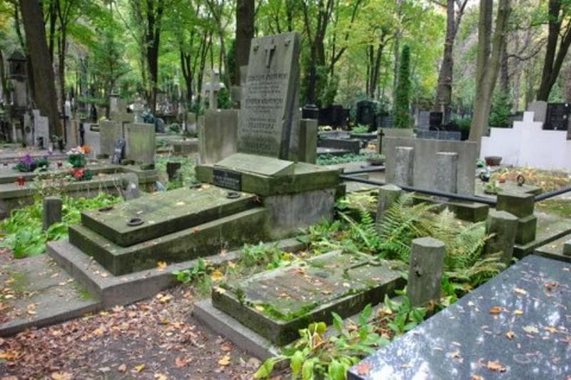 Zdjęcie grobu Nikodem Oranowski (1)