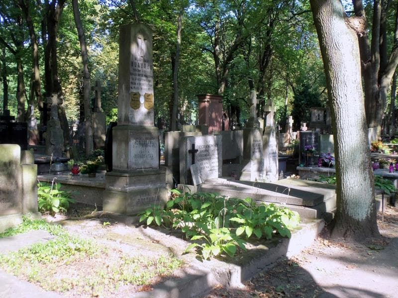 Zdjęcie grobu: Władysław Bułynko