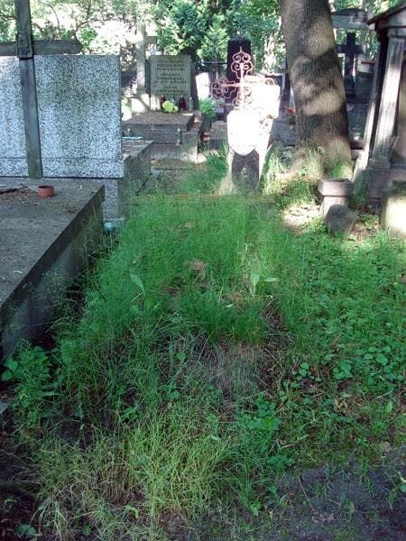 Zdjęcie grobu: Rajmunda Wasilewska
