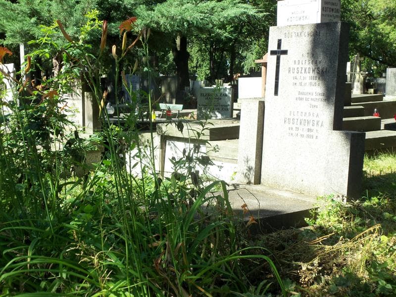 Zdjęcie grobu Eleonora Ruszkowska (1)