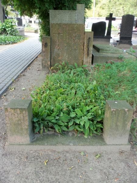 Zdjęcie grobu: Kazimierz Wyrwich