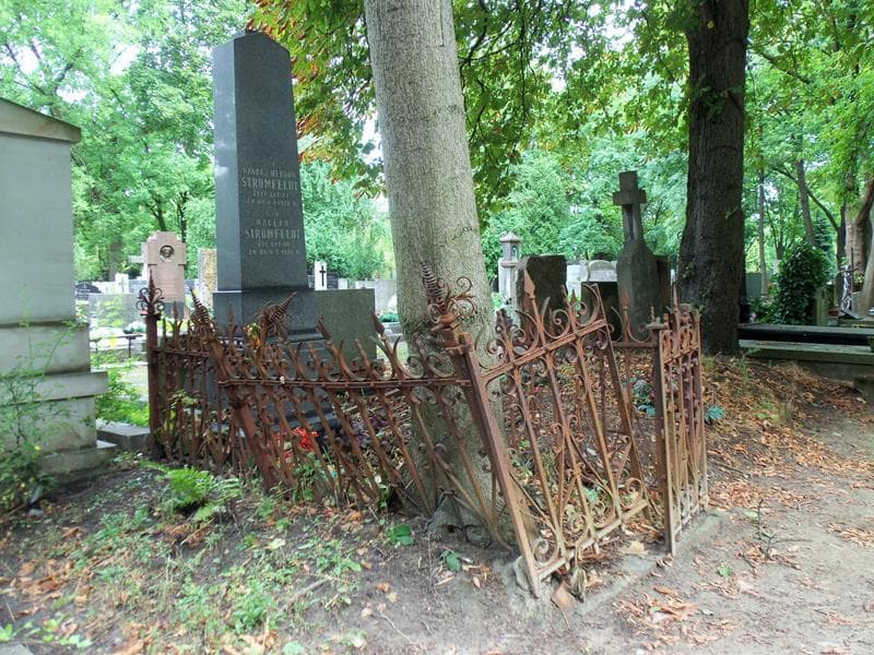 Zdjęcie grobu Wanda Stromfeldt (1)