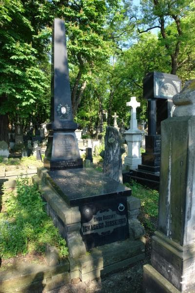 Zdjęcie grobu Helena Pniewska (1)