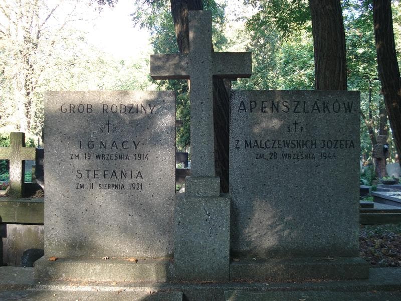 Zdjęcie grobu Józefa Apenszlak (2)