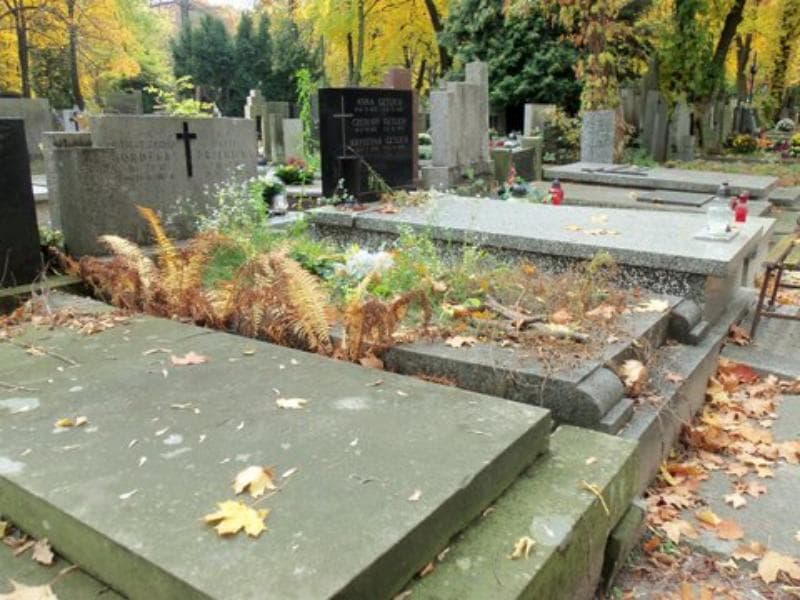 Zdjęcie grobu Maria Drzewicka (1)