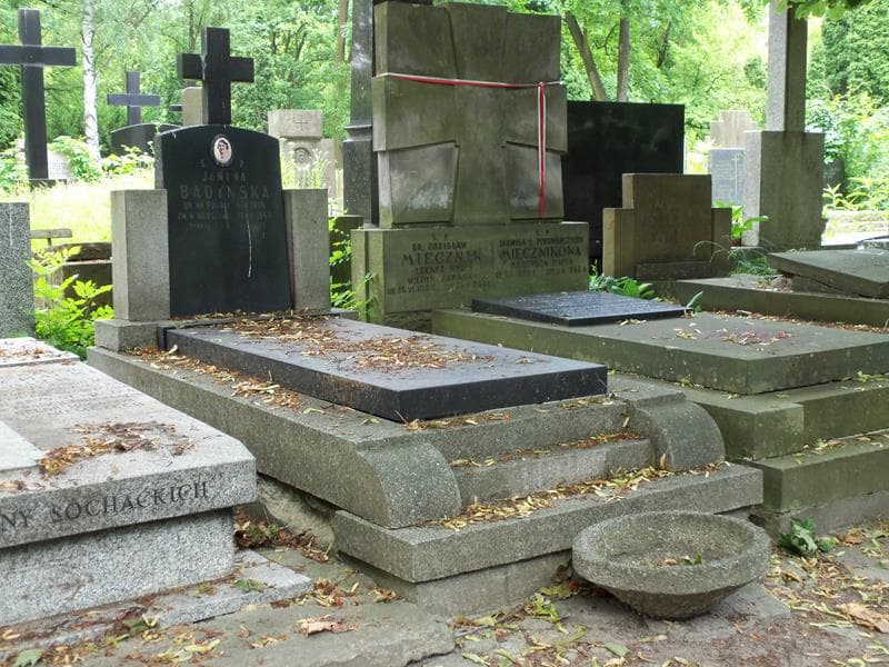 Zdjęcie grobu Wanda Badyńska (1)