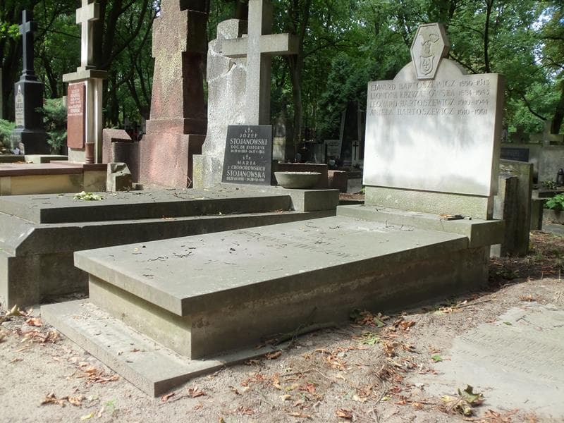 Zdjęcie grobu Aniela Bartoszewicz (1)