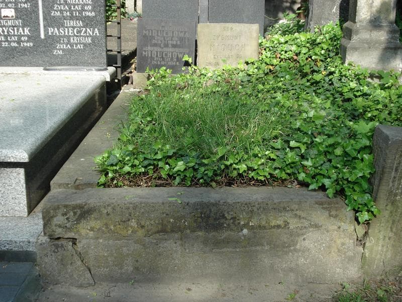 Zdjęcie grobu: Zygmunt Miduch
