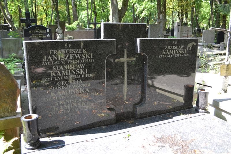Zdjęcie grobu Franciszek Janiszewski (2)
