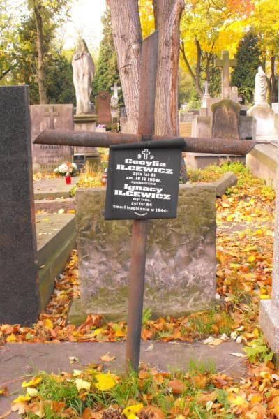 Zdjęcie grobu Ignacy Ilcewicz (2)