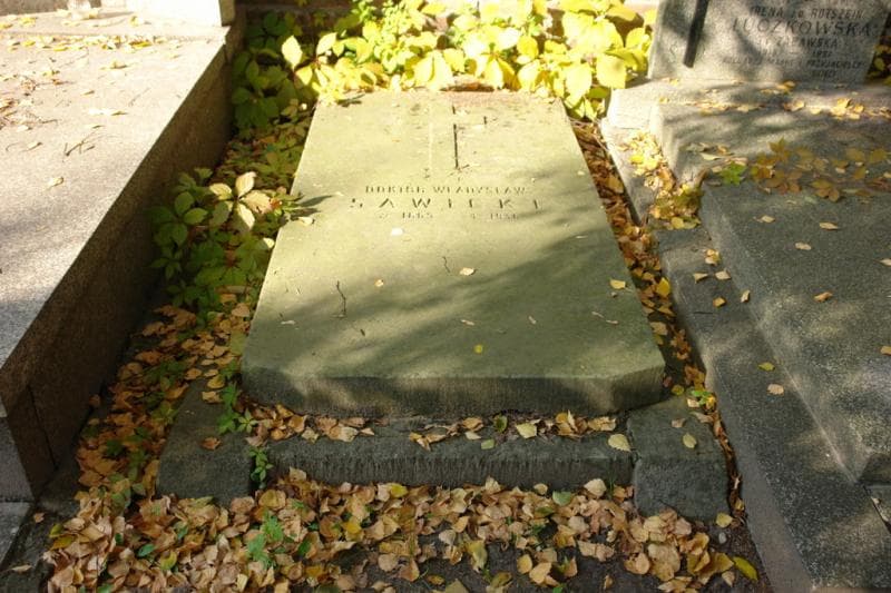 Zdjęcie grobu Władysław Sawicki (1)