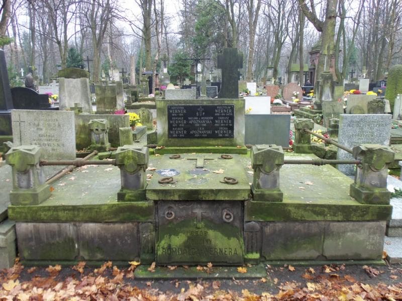 Zdjęcie grobu: Jan Apoznański
