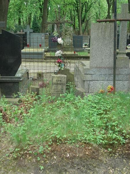Zdjęcie grobu: Wandziunia Kozłowska