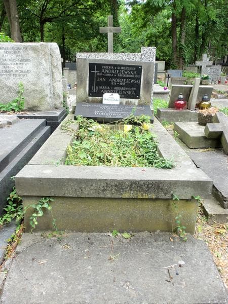Zdjęcie grobu: Zofia Dobrowolska