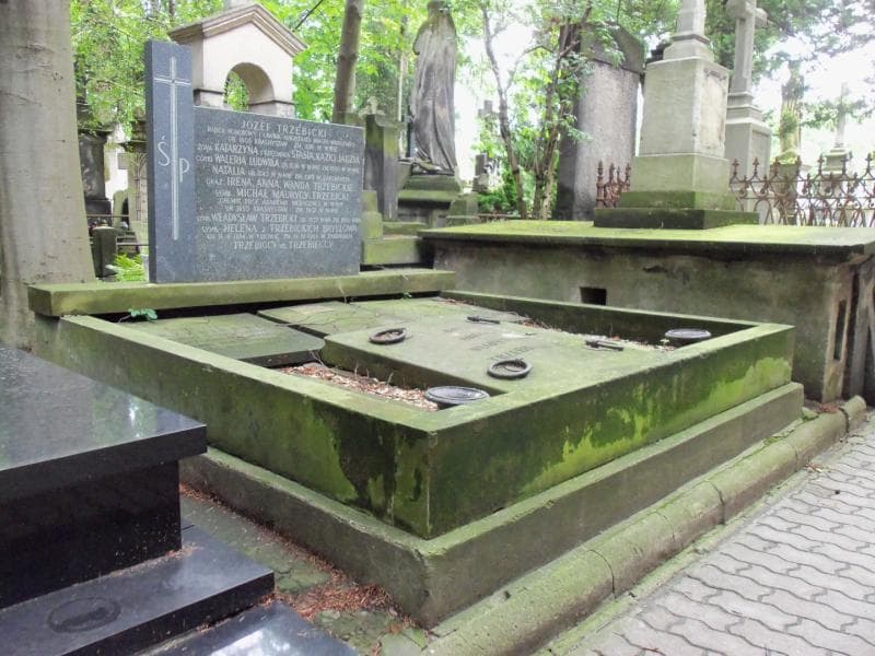 Zdjęcie grobu Helena Bryllowa (1)
