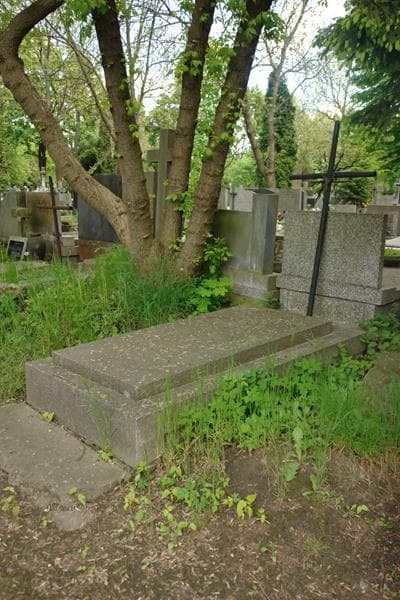 Zdjęcie grobu Krystyna Ledzion (1)