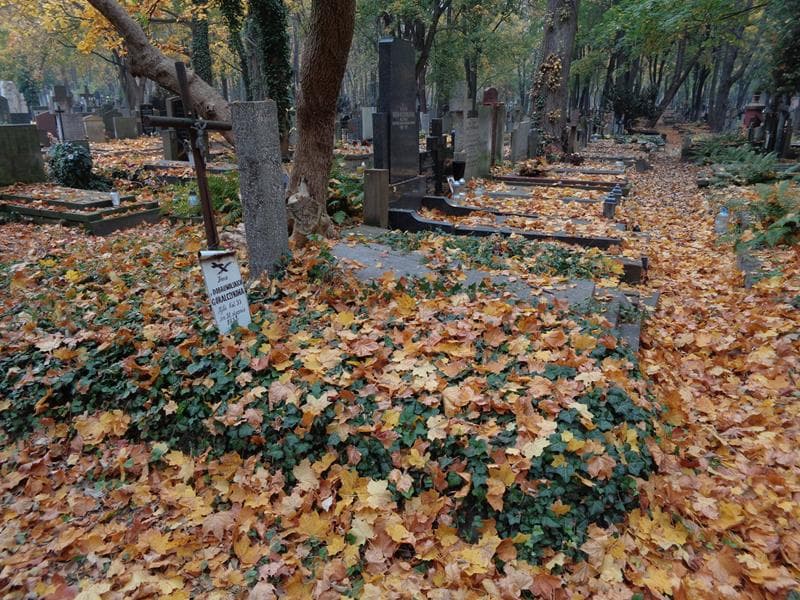 Zdjęcie grobu: Irena Góralczykowa