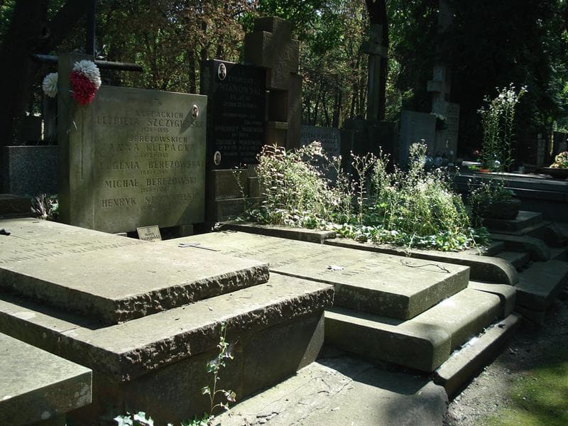 Zdjęcie grobu Eugenia Berezowska (1)