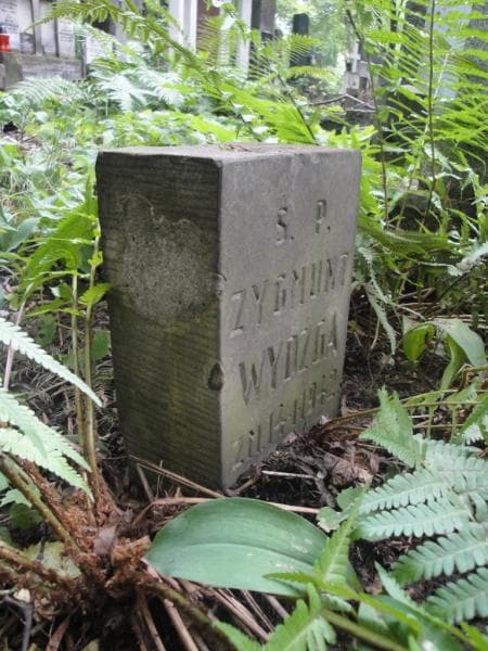 Zdjęcie grobu Zygmunt Wydźga (2)