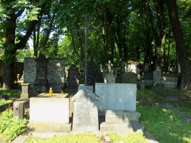 Zdjęcie grobu Franciszek Tchórzewski (2)