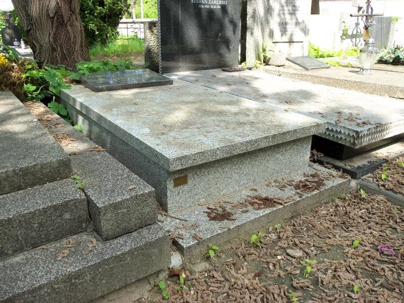 Zdjęcie grobu Eleonora Wanda Jarmużyńska (1)