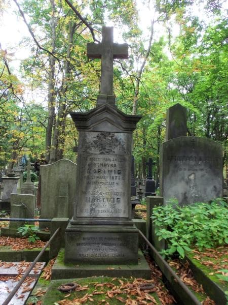 Zdjęcie grobu Henryk Hartwig (2)