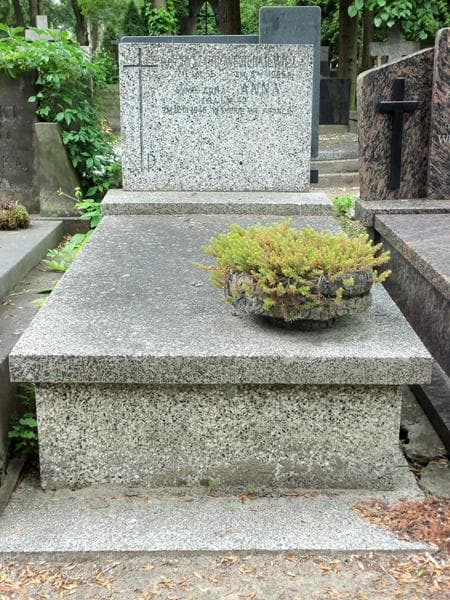 Zdjęcie grobu: Anna Węgierkiewicz